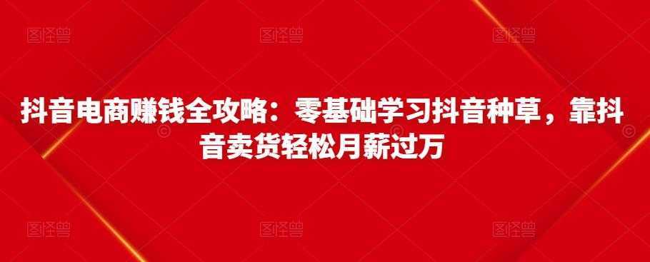 抖音电商赚钱全攻略：零基础学习抖音种草，靠抖音卖货轻松月薪过万-课程网