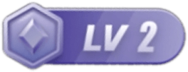 等级-LV2-课程网