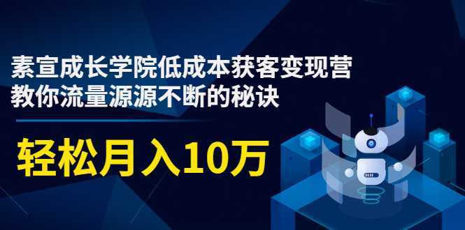 图片[1]-素宣成长学院低成本获客变现营，教你流量源源不断的秘诀，轻松月入10万-猴哥资源站