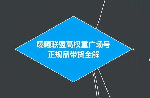 图片[1]-臻曦联盟抖音高权重广场号无人直播正规品带货全解-猴哥资源站