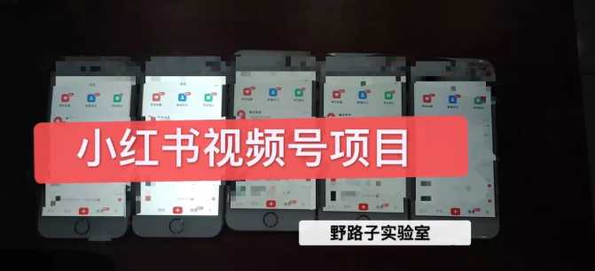图片[1]-野路子小红书视频号1.0项目，直接上手操作就能赚钱的视频号项目-猴哥资源站
