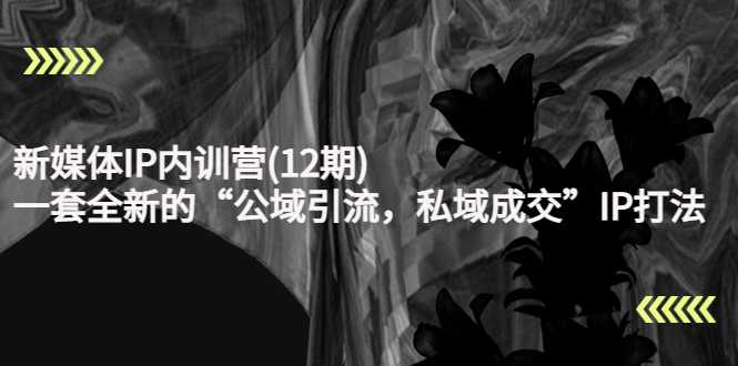 图片[1]-新媒体IP内训营(12期)，一套全新的“公域引流，私域成交”IP打法，直接带走-猴哥资源站