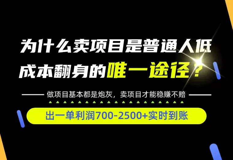 《零基础互联网创业全类目实操,普通人从0到1赚到第一桶金》-猴哥资源站