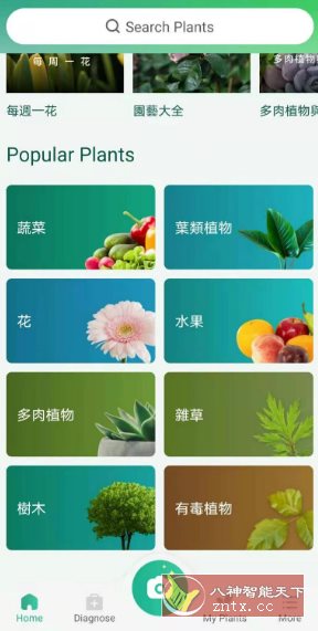 PictureThis 植物识别v5.12.0专业版