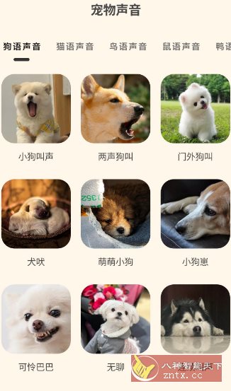 哆啦猫狗翻译器1.2.6高级版