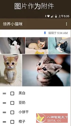 WeNote微笔记 v6.41纯净版